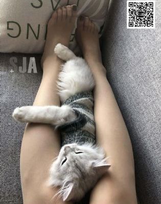 上错花轿嫁对郎电视剧全集观看_高清电影完整版在线观看