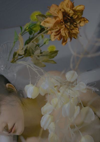 东西向洞蘑菇_BD英语神马影院手机在线