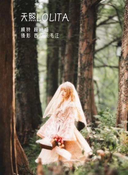 战狼5手机在线观看国语高清_欧美在线观看
