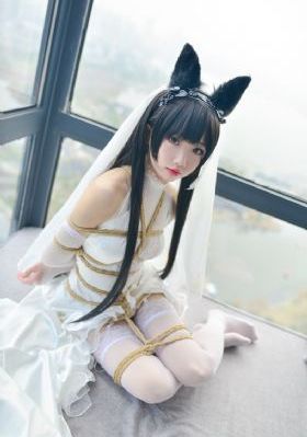 我的图书馆女友免费观看_BD高清在线